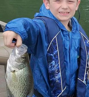 Nice crappie catch in Gainesville GA!