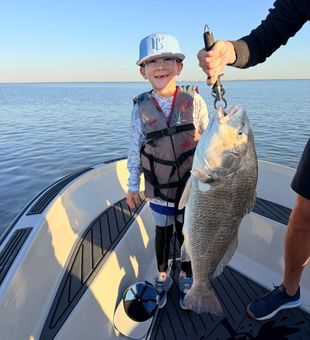 Big black drum