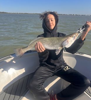 Nice Galveston speckled trout from the bay!