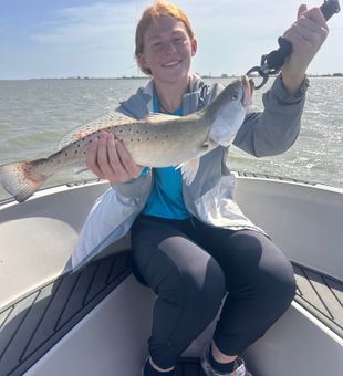 Beautiful speckled trout caught in Galveston waters!