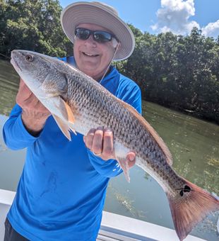 Tampa redfish delivering the perfect fishing adventure!