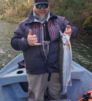 Steelhead from Oregon