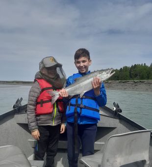 Kenai's Silver Spectacle Unleashed