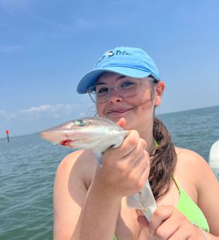 Trophy Sized Shark Captured In NJ  Waters