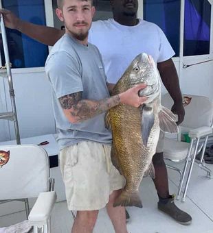 Biloxi Fishing Charters Monster Black Drum Haul!