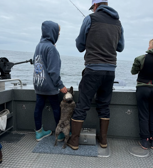 Cast your line for a Newport fishing adventure!
