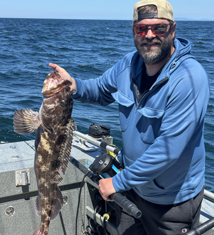Lingcod action heating up as the skies clear in Newport!