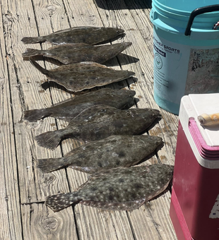 Fish North Myrtle Beach Today