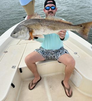 Hooked up in paradise! 