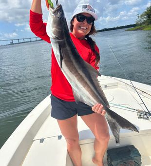 35 inch cobia today in 8 ft of water on a 2500!