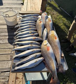 Cast, catch, repeat in Texas City.