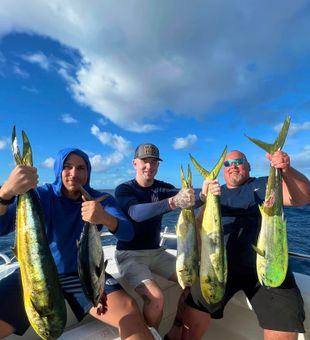 Mahi Mahi Fishing In Florida Keys