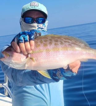 Fishing for Snapper In Florida