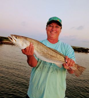 What a beautiful trout!