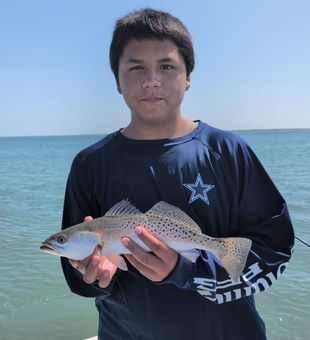 Beautiful speckled trout from Port Aransas waters!