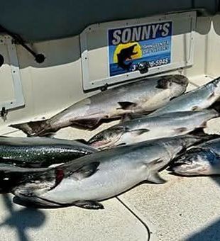 Great day of salmon fishing at Sodus Point!