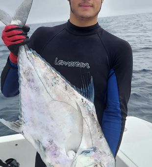 Deep Sea Fishing for Pompano in Florida