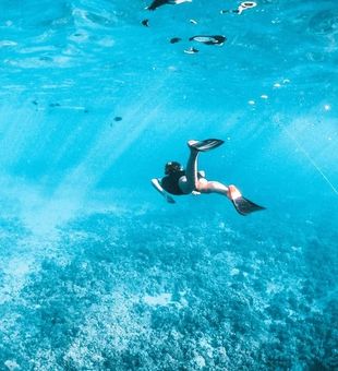 Finding solace in South Florida's fishing spots.