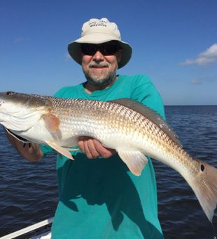 Early morning Redfish catch in Tarpon Springs, FL.