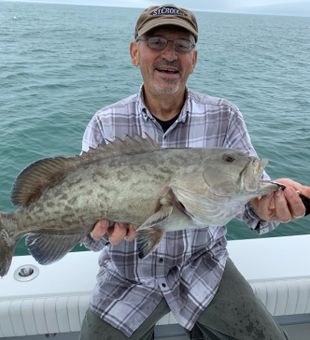 Grouper catch in Tarpon Springs FL.