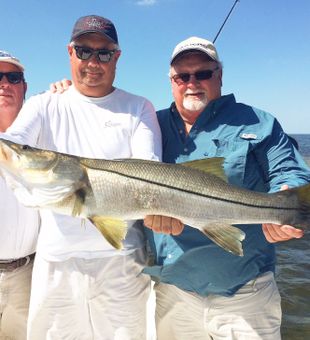 Experienced Anglers Snook catch in Tarpon Springs