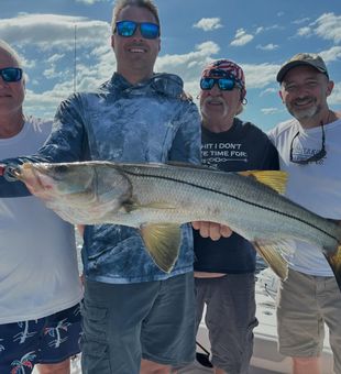 Trophy Snook from the Tarpon Springs flats.
