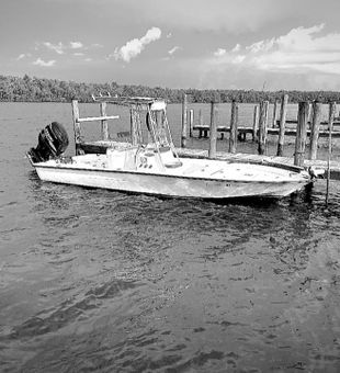 Everglades Treasures Await: Fishing Delights