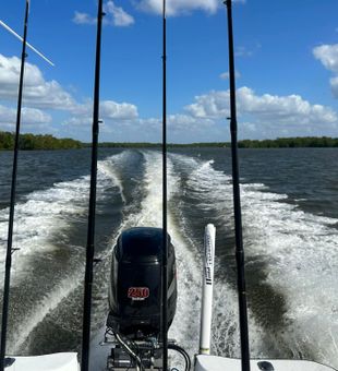 Everglades Escape: Fishing Magic in Nature