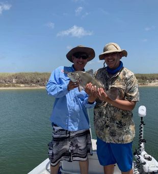 Grey Snapper in Corpus Christi, TX 