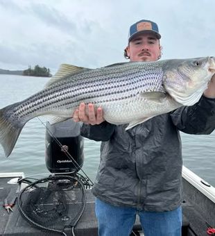 Striped bass and largemouth bass fishing on Lake Allatoona near Cartersville, Georgia where every cast brings the chance for a hard-fighting bass.