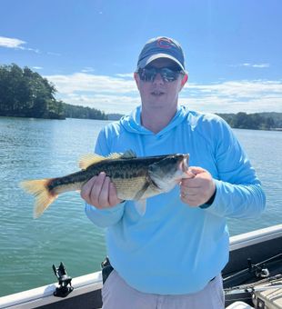 Solid Largemouth Bass catch!