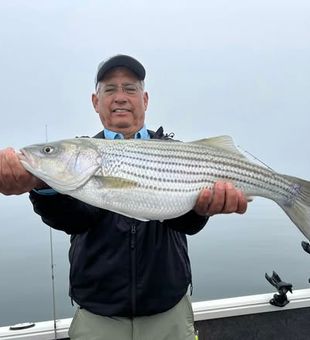 Chasing striped bass and largemouth bass on Lake Allatoona in North Georgia with steady action and great water conditions.