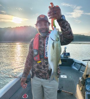 Morning Striped Bass catch!