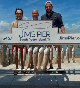 Strong South Padre Island redfish and trout haul