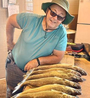 Great day with Doug! His very first limit of walleye. 