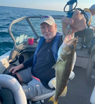 Buffalo NY walleye hitting the deck!