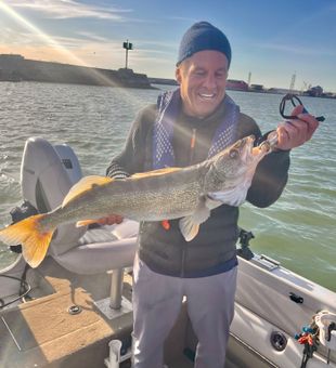 Beautiful Buffalo NY walleye makes the day!
