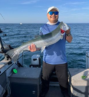 Beautiful Sheboygan salmon making for an epic fishing day!