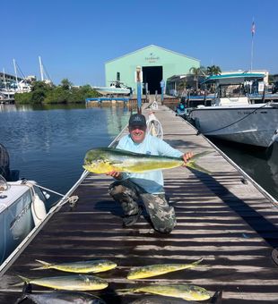 Loaded Mahi Mahi and Tuna catch!