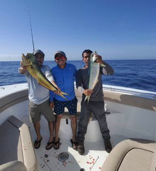 Colorful Mahi Mahi catch!