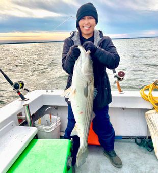 Beautiful Colonial Beach VA striped bass!