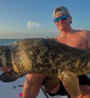 Sunset Goliath Grouper from Sanibel coast