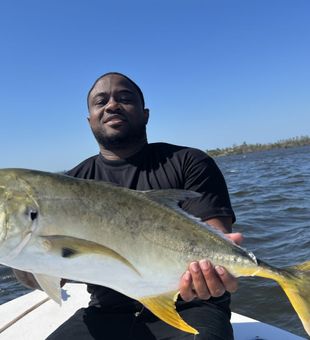 Vibrant Jack Crevalle catch.