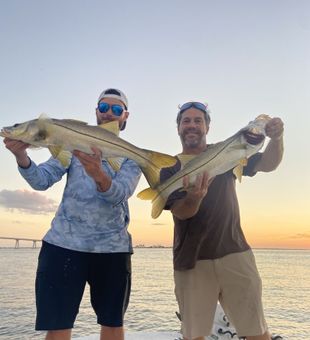 Twin strong snook catches at sunset.