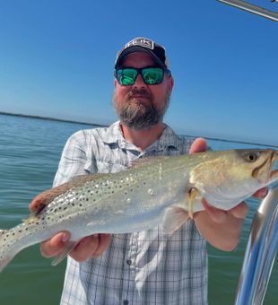 Spotted Seatrout from glassy Pine Island