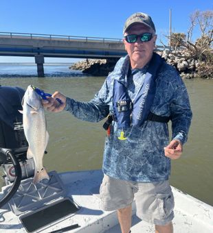 Fresh catch of a lively Redfish on the boat.