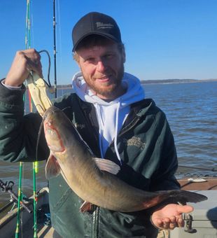 Summer cats on the move.