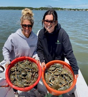 Bountiful Crab Season Delaware