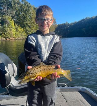 Beautiful trout reeled in - Branson, MO.