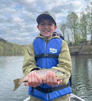 Experience the best of Ozarks fishing with a guided lake trip designed for anglers of all skill levels.